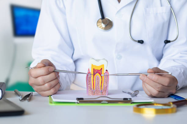 Best Emergency Dentist for Special Needs Patients in Georgetown, CA